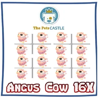 angus cow