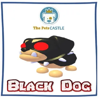 black dog
