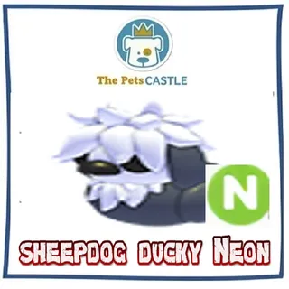 Sheepdog Ducky Neon