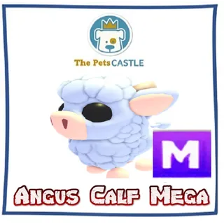 angus calf mega