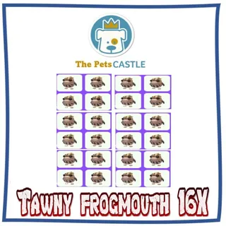 Tawny frogmouth 16X