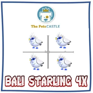 BALI STARLING 4X