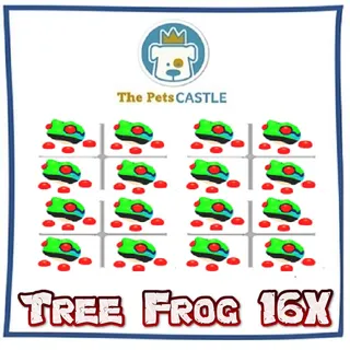 Tree Frog