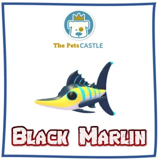 Black Marlin