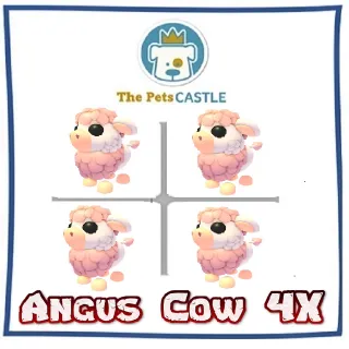 angus cow