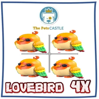 love bird