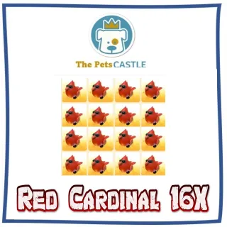 Red Cardinal 16X