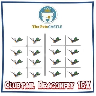 Clubtail Dragonfly