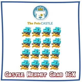 Castle Hermit Crab 16X