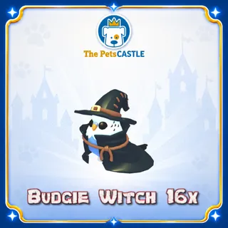  Budgie Witch 16X