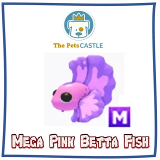 Mega Pink Betta Fish