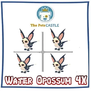 Water Opossum 