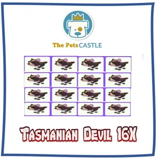 Tasmanian Devil 16X