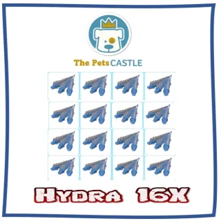 Hydra 16X