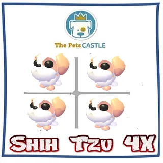 Shih Tzu