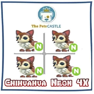 Chihuahua Neon 4X