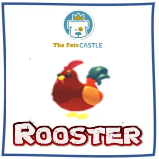 Rooster