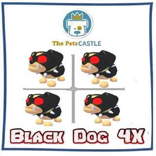 black dog