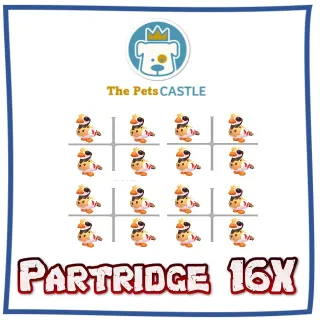 Partridge 16X