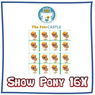 Show Pony 16X