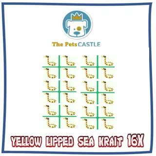 yellow lipped sea krait 16X