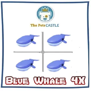 Blue Whale