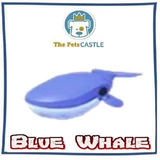 Blue Whale