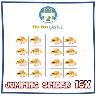 jumping spider