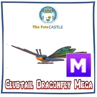 Clubtail Dragonfly Mega