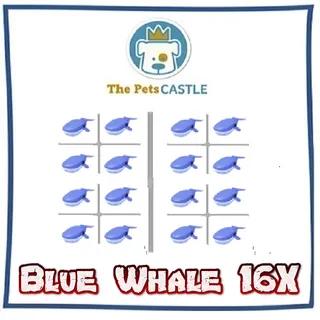 Blue Whale