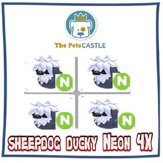 Sheepdog Ducky  Neon