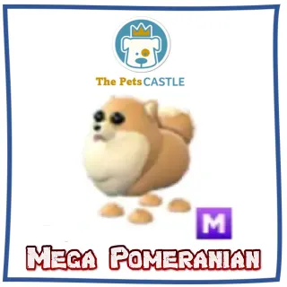  Mega Pomeranian