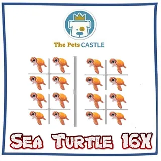 sea turtle