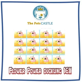 Flower Power Duckling 16X