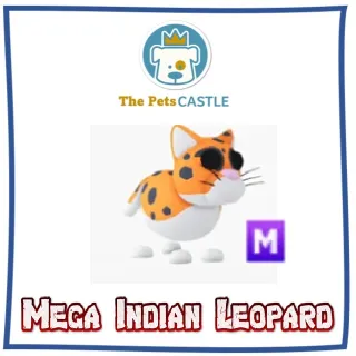 mega Indian Leopard