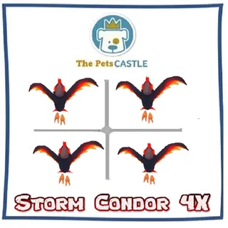 Storm Condor 