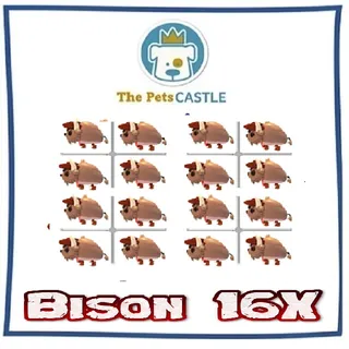 Bison