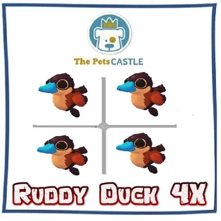 Ruddy Duck