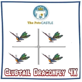 Clubtail Dragonfly