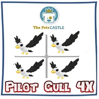 Pilot Gull