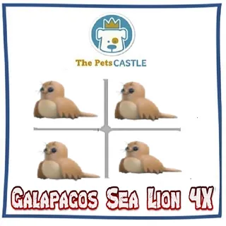 Galapagos Sea Lion