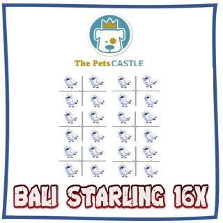 BALI STARLING 16X