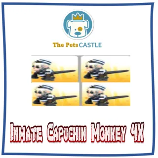 Inmate Capuchin Monkey 4X