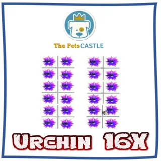 urchin 16X