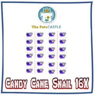 Candy Cane Snail 16X