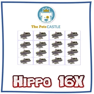 Hippo 16X