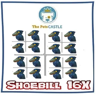 Shoebill