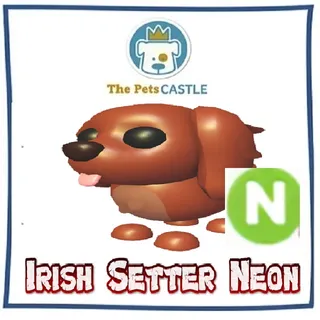 Irish Setter Neon