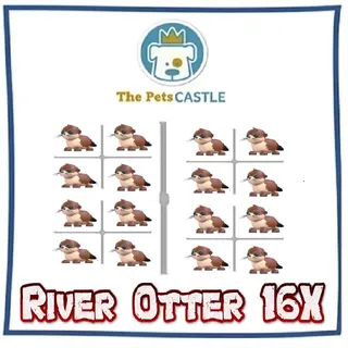 River Otter