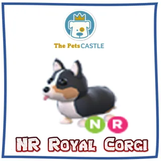NR Royal Corgi